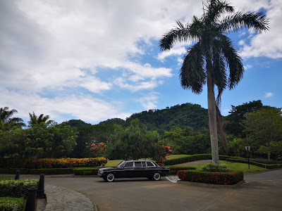 LARGE-PALM-TREE-AND-MERCEDES-LIMOUSINE-COSTA-RICA.jpg